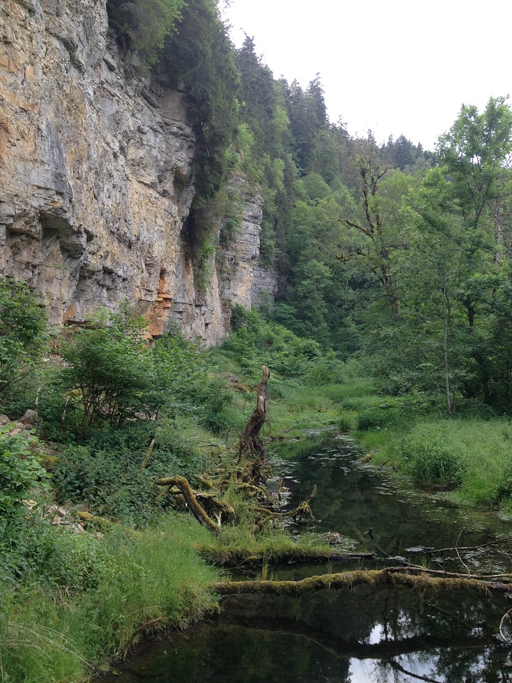 Gauchachschlucht und Wutachschlucht - Wandern im Schwarzwald