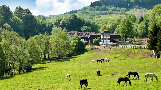 Reiterhof Hirschberg (Bild von der Homepage)