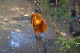 Buddistischer Mönch