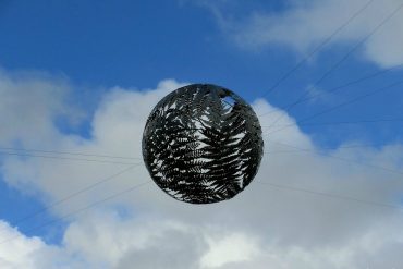 Wellington Fernball Neuseeland