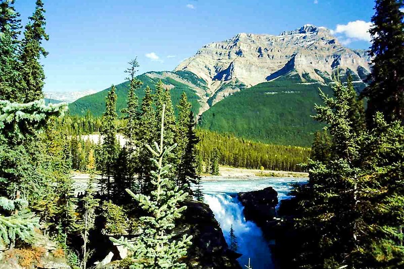 Kicking Horse Falls