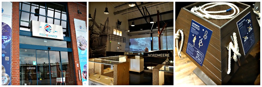 Expedition Nordmeere