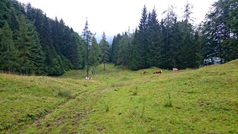 Reit im Winkl Tipps