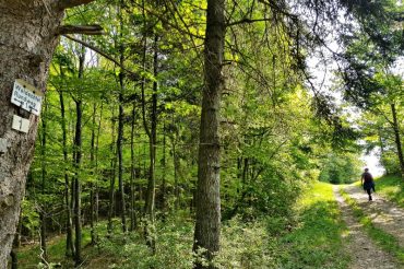 Wandern im Schwarzwald