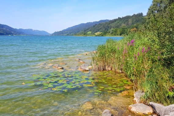 Drei Wandertipps für Sonthofen im Allgäu
