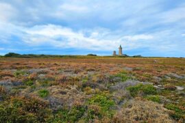 Blick über eine weite, flache Heidelandschaft mit trockenem Gras, niedrigen Sträuchern und blühender Heide in Braun- und Grüntönen. Am Horizont ragt auf einer Klippe der historische Leuchtturm von Cap Fréhel in der Bretagne in die Höhe, daneben ein kleineres Gebäude. Der Himmel ist wolkenverhangen mit hellen und dunklen Blautönen, was der Szene eine dramatische, windige Atmosphäre verleiht.