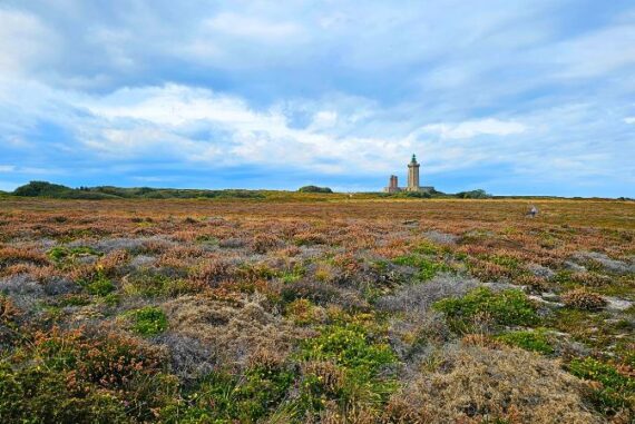 Blick über eine weite, flache Heidelandschaft mit trockenem Gras, niedrigen Sträuchern und blühender Heide in Braun- und Grüntönen. Am Horizont ragt auf einer Klippe der historische Leuchtturm von Cap Fréhel in der Bretagne in die Höhe, daneben ein kleineres Gebäude. Der Himmel ist wolkenverhangen mit hellen und dunklen Blautönen, was der Szene eine dramatische, windige Atmosphäre verleiht.