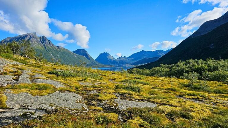 Kystriksveien – unterwegs von Norden nach Süden