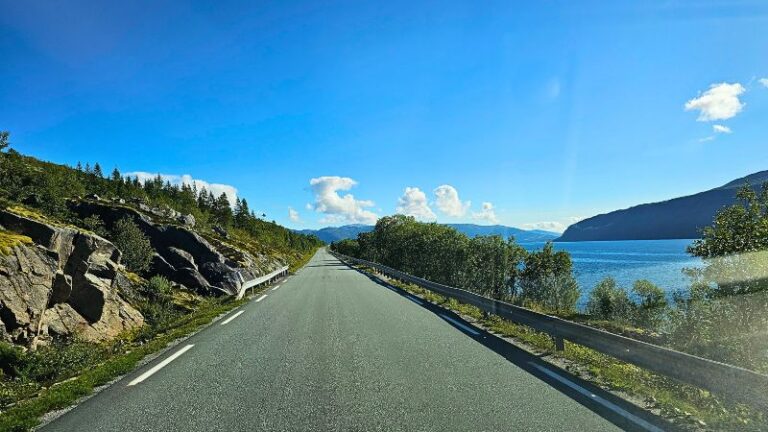 Roadtrip Playlist: Die besten Songs für unterwegs