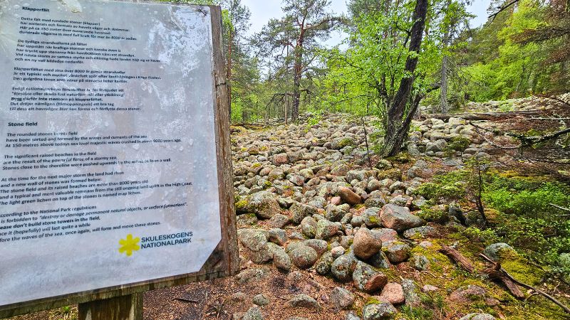 Steinfelder am Wegesrand, entdeckt beim Wandern auf dem Hohe Küstenweg. EinSchild erklärt die Steinfelder
