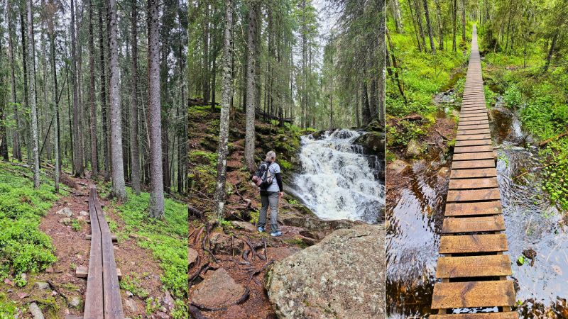 REchts und Links Bohlenwege im Wals auf dem Hohe Küsenweitwanderweg. In der Mitte eine Frau vor einem Wassefall