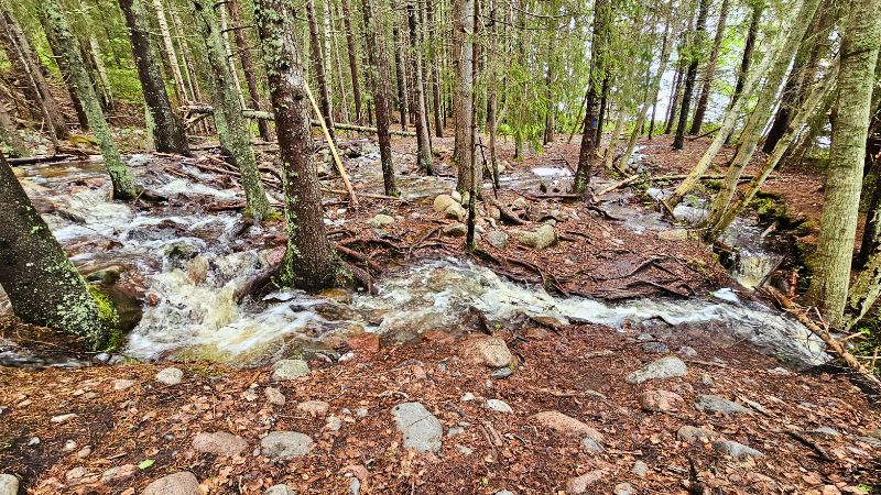 ein weg der von einem Bach gekreuzt wird, der durch den starken Regen entsanden ist