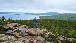 Freau seht mit dem Rücken zur Kamera und schau in die Weite der Hohen Küste