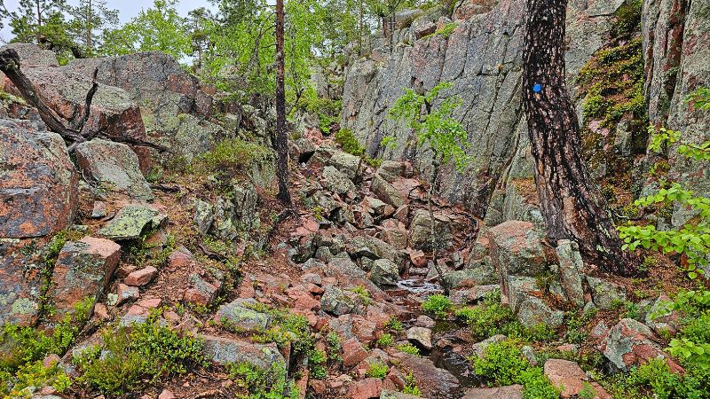 Steine die den Weg hinauf aufs Plateau der Hohen Küste bilden